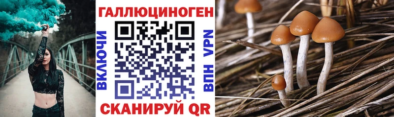 сайты даркнета какой сайт  как найти закладки  Куйбышев  Псилоцибиновые грибы MAGIC MUSHROOMS 